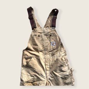 Men’s Carhartt Insulated Overalls 36 x 30